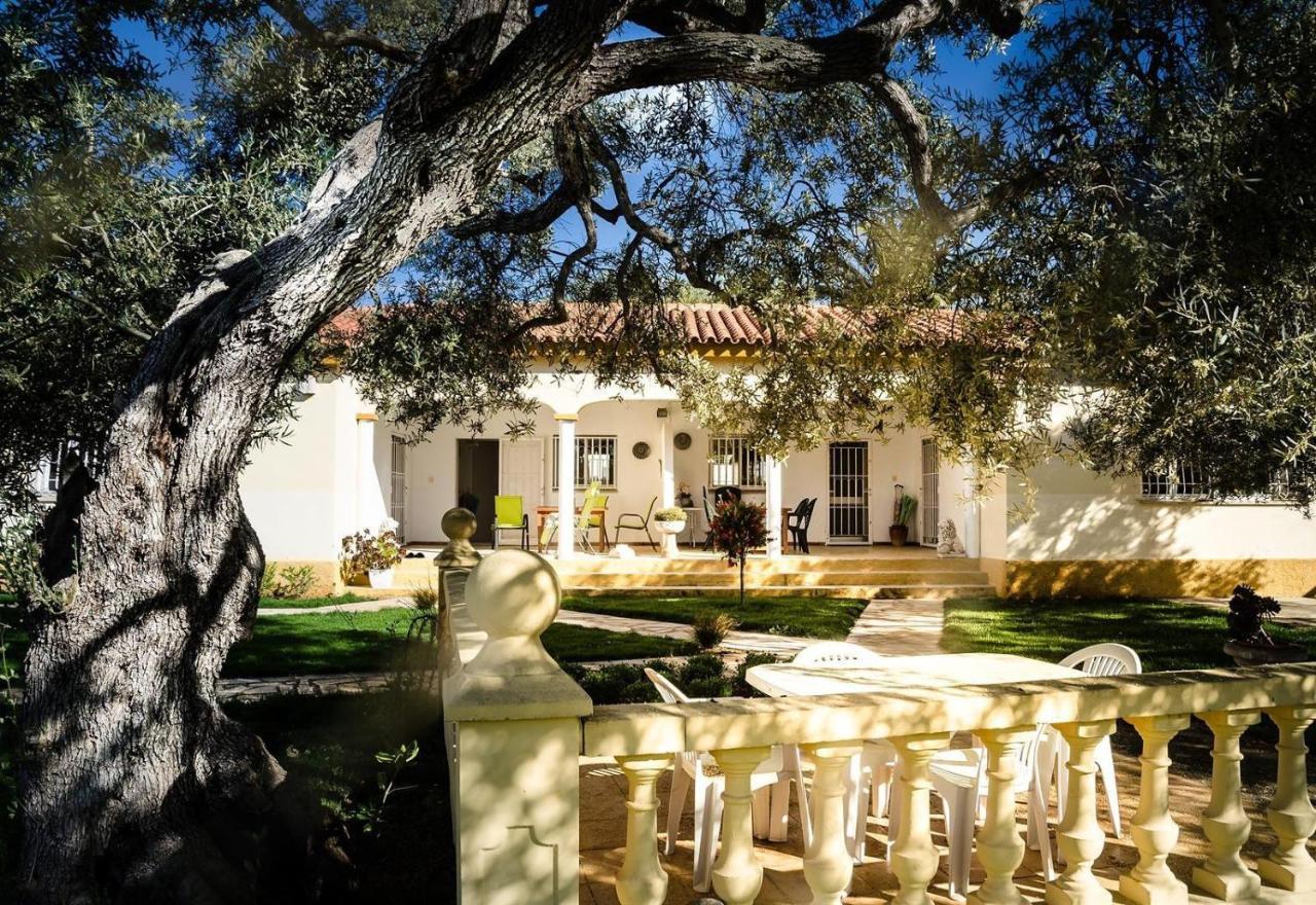 Villa With Great Pool Dog Friendly Vinaros Bagian luar foto
